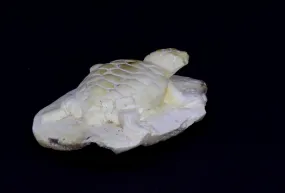 Schnitzerei Bernstein Miniautur Figur Schildkröte 30 x 20 mm aus Indonesien I-17